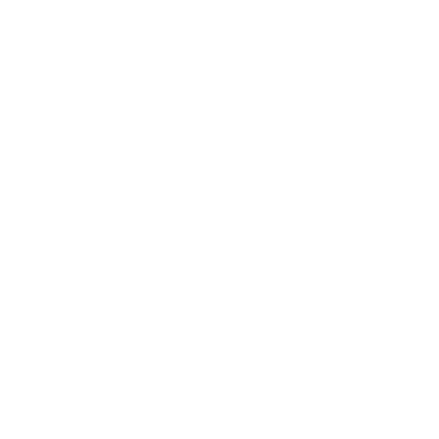 Globe icon